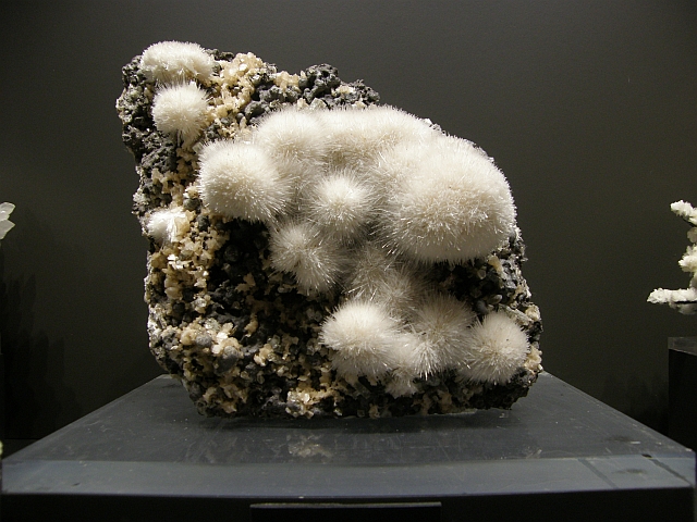 bloß nicht anfassen!